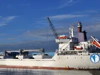 Nave refrigerata in vendita
