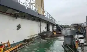 Trasportatore di merci sfuse in vendita
