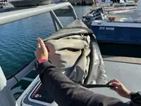 Pattugliatore in vendita