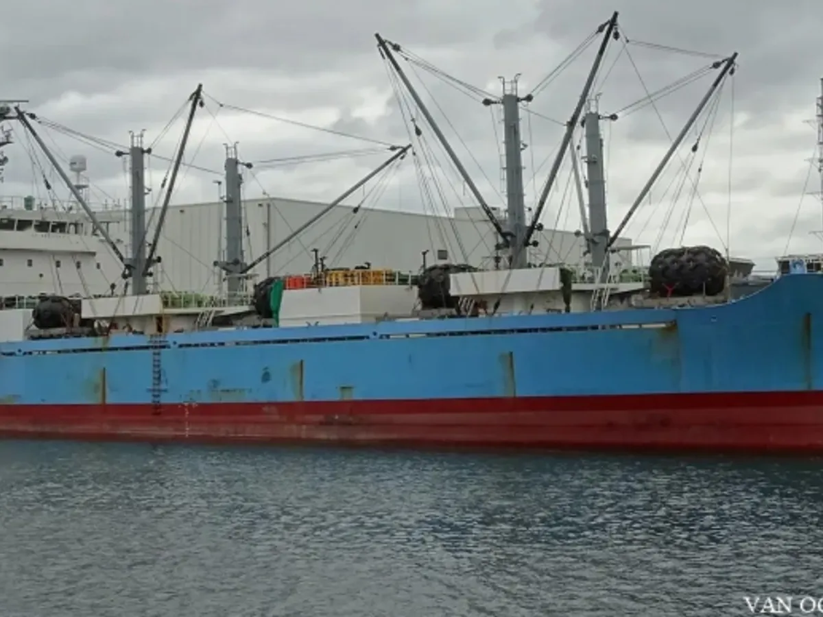 Nave refrigerata in vendita