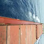 Trasportatore di merci sfuse in vendita