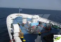Nave Ro-Ro in vendita
