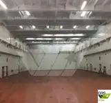Nave Ro-Ro in vendita