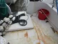 Peschereccio a strascico in vendita