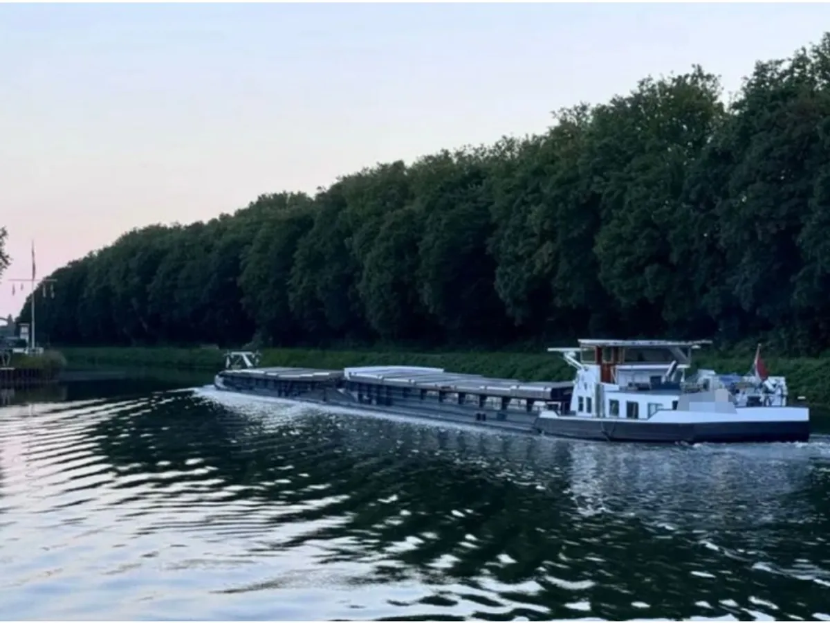 Chiatta in vendita