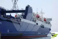 Nave Ro-Ro in vendita