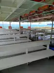 Nave da crociera in vendita