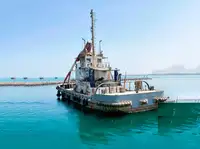 Barche da lavoro in vendita