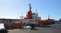 Portacontainer in vendita