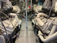 Nave da crociera in vendita