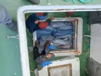 Peschereccio a strascico in vendita