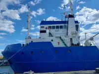 Portacontainer in vendita