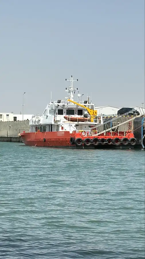 Catamarano in vendita