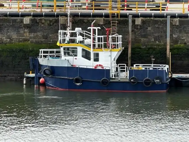 Barche da lavoro in vendita