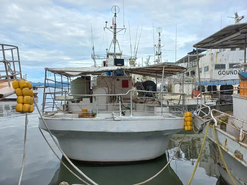 Nave con palangari in vendita