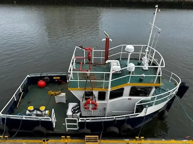 Barche da lavoro in vendita