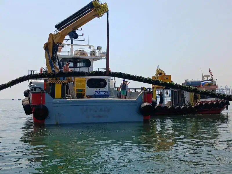 Barche da lavoro in vendita