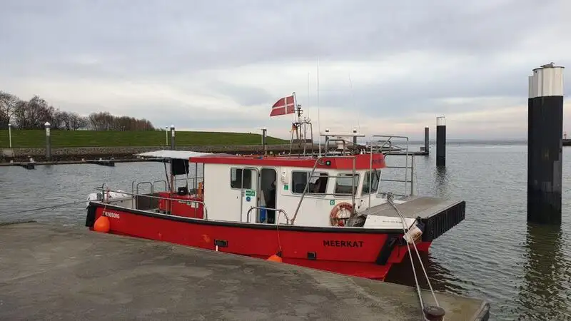 Catamarano in vendita