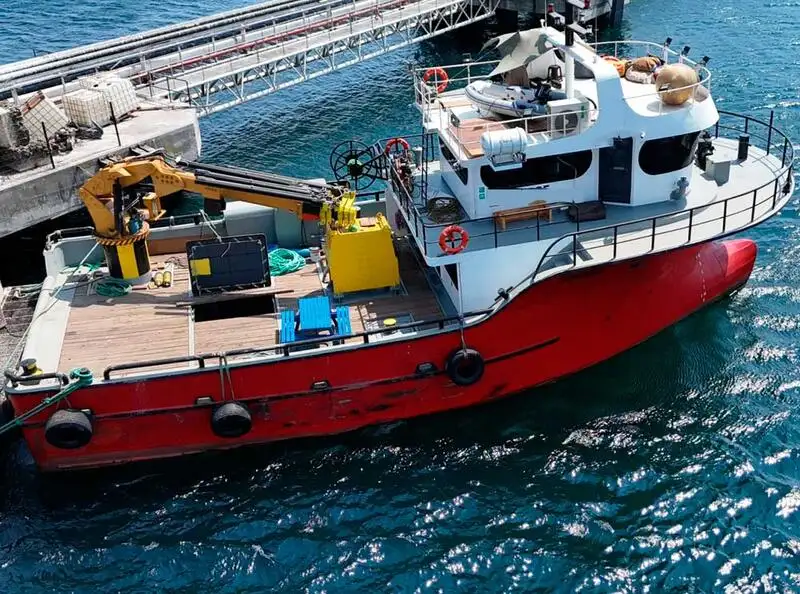 Barche da lavoro in vendita