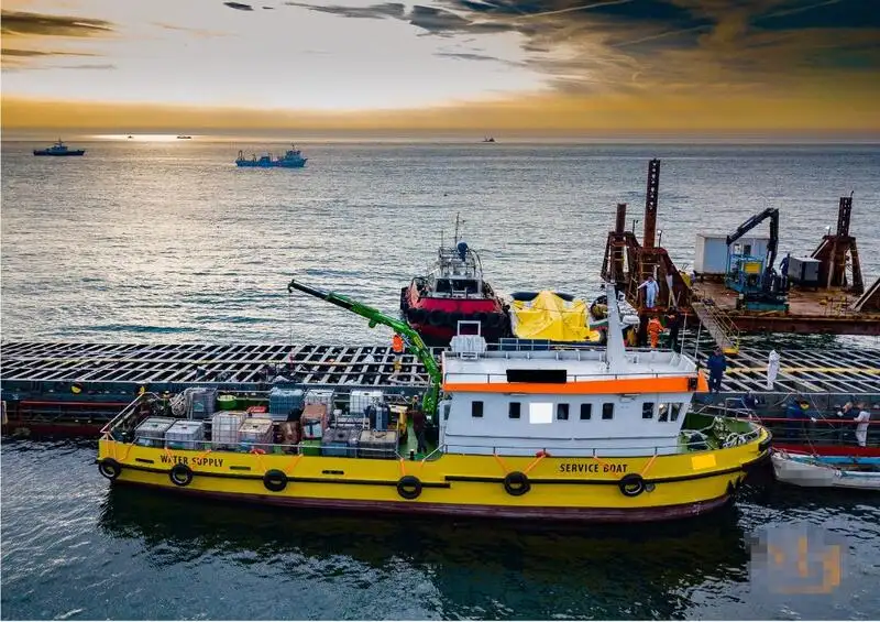 Barche da lavoro in vendita