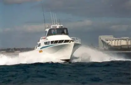 Barche da lavoro in vendita