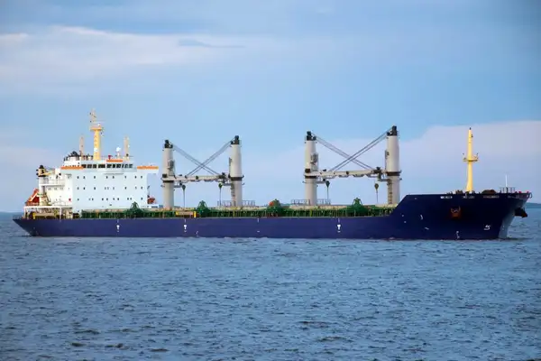 Bulk carrier for sale