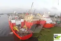 Supporto per le immersioni in vendita