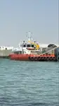 Catamarano in vendita