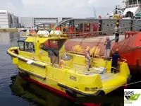 Barche da lavoro in vendita