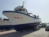 Barche da lavoro in vendita