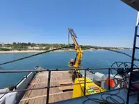 Barche da lavoro in vendita