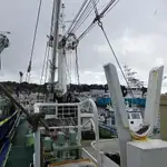 sciabica in vendita