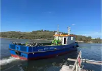 Barche da lavoro in vendita