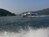 Traghetto in vendita