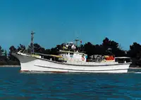 Nave con palangari in vendita