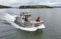 Catamarano in vendita