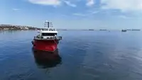 Barche da lavoro in vendita
