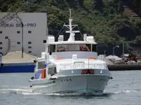 Traghetto in vendita