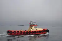 Rimorchiatore in vendita