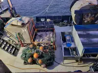 Rottami metallici in vendita