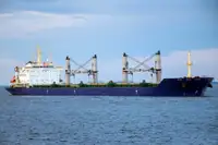 Portarinfuse in vendita