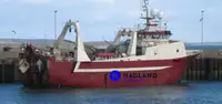 Trawler congelatore autonomo di grande capacità in vendita