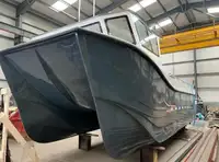 Catamarano in vendita