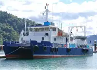 Catamarano in vendita