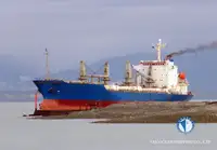 Nave reefer in vendita