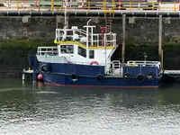 Barche da lavoro in vendita