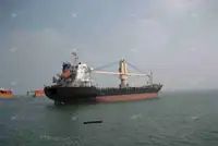 Portarinfuse in vendita