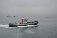 Rimorchiatore in vendita