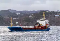 Portarinfuse in vendita