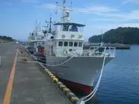 Peschereccio in vendita